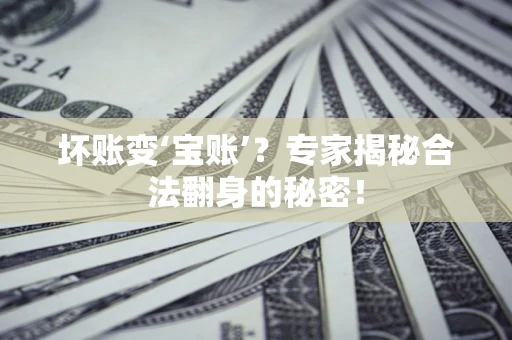 武汉坏账变‘宝账’？专家揭秘合法翻身的秘密！