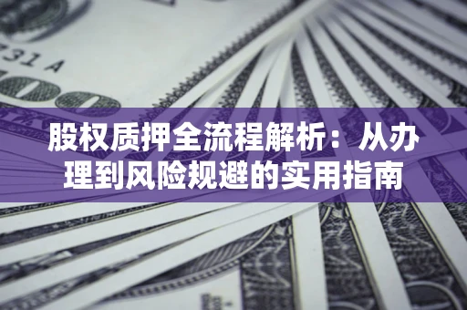 武汉股权质押全流程解析：从办理到风险规避的实用指南