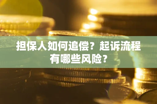 武汉担保人如何追偿？起诉流程有哪些风险？