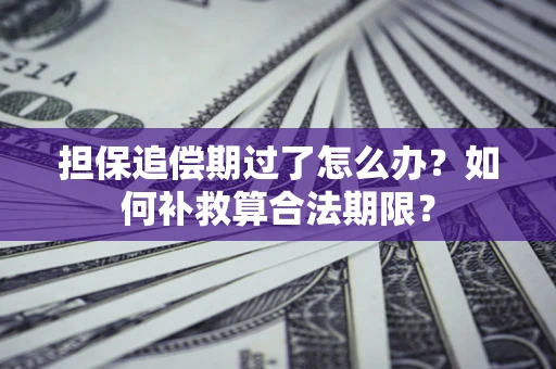 武汉担保追偿期过了怎么办？如何补救算合法期限？