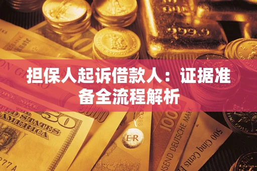 武汉担保人起诉借款人：证据准备全流程解析