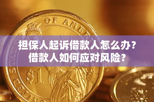 武汉担保人起诉借款人怎么办？借款人如何应对风险？