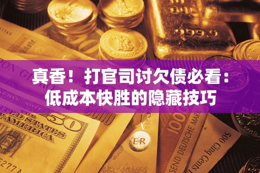 武汉真香！打官司讨欠债必看：低成本快胜的隐藏技巧