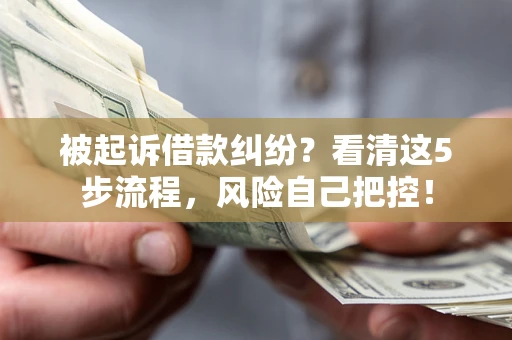 武汉被起诉借款纠纷？看清这5步流程，风险自己把控！