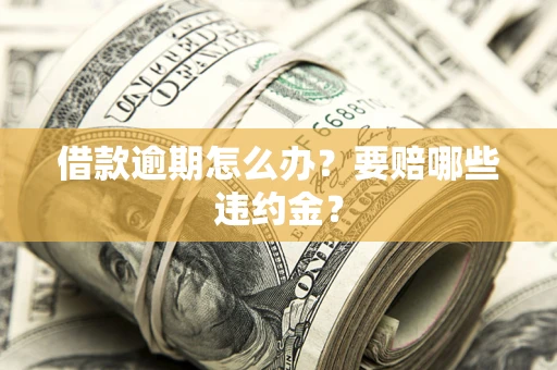 武汉借款逾期怎么办？要赔哪些违约金？