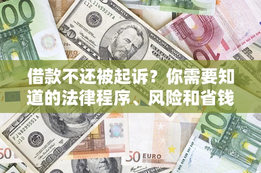 武汉借款不还被起诉？你需要知道的法律程序、风险和省钱技巧