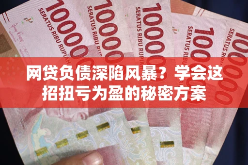 武汉网贷负债深陷风暴？学会这招扭亏为盈的秘密方案